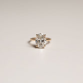 4.00ct Oval Lab Grown Diamond Lena Ring